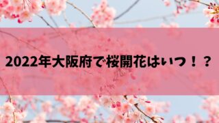 2022年 大阪府 桜