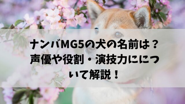 ナンバMG5 犬