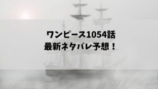 ワンピース1054