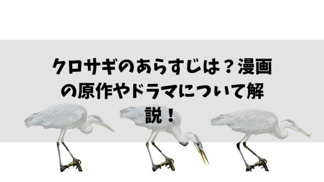 クロサギ