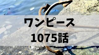 ワンピース1075
